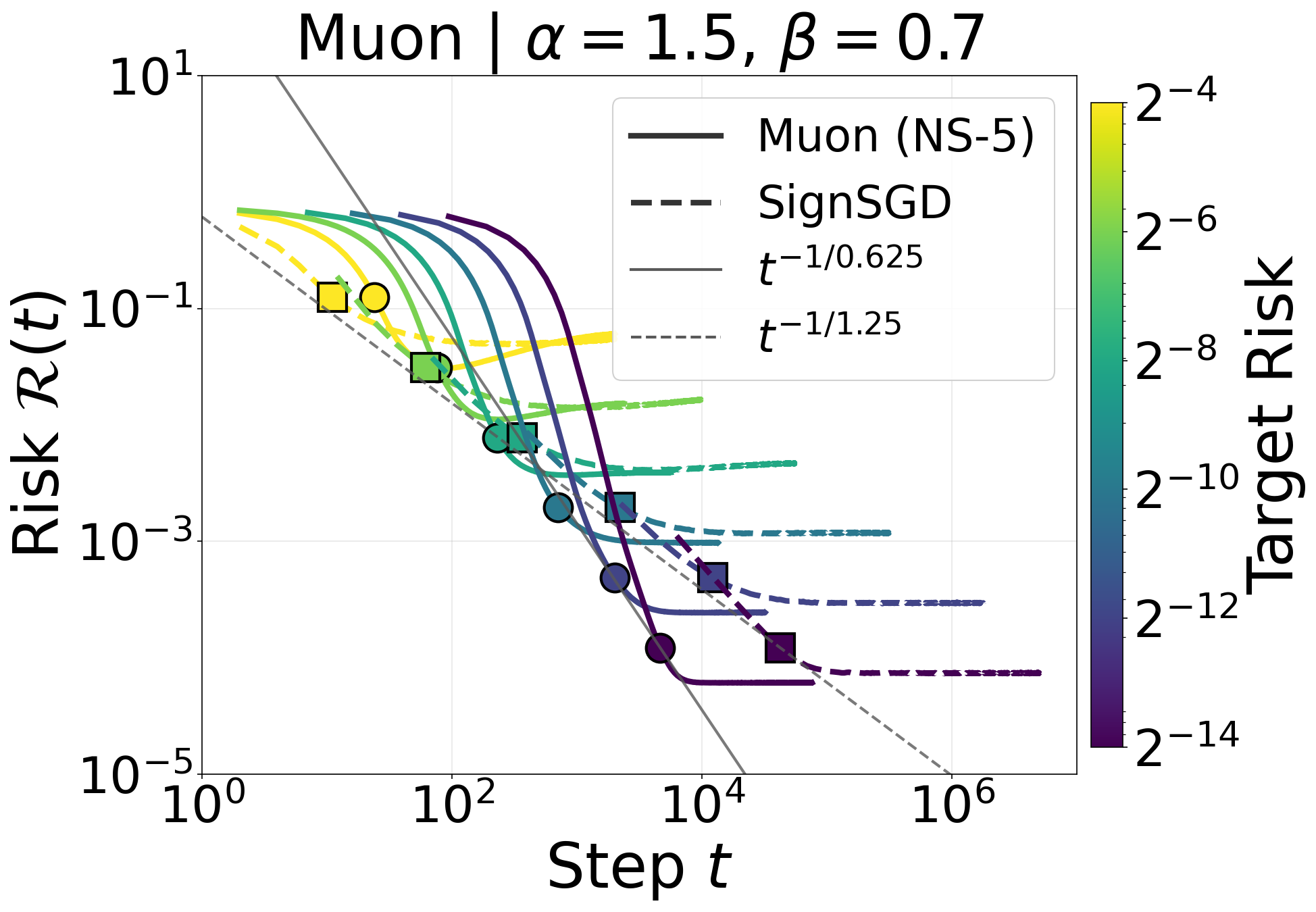 Muon and SignSGD risk curves in a tail-heavy power-law target regime. Time-to-target markers follow distinct predicted power-law slopes.